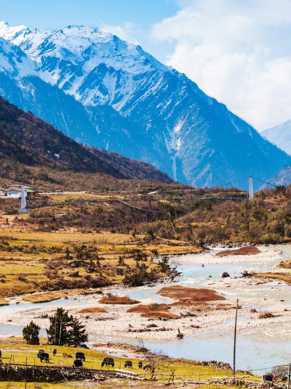 Chopta Valley in north Sikkim India Chopta Valley in north Sikkim India