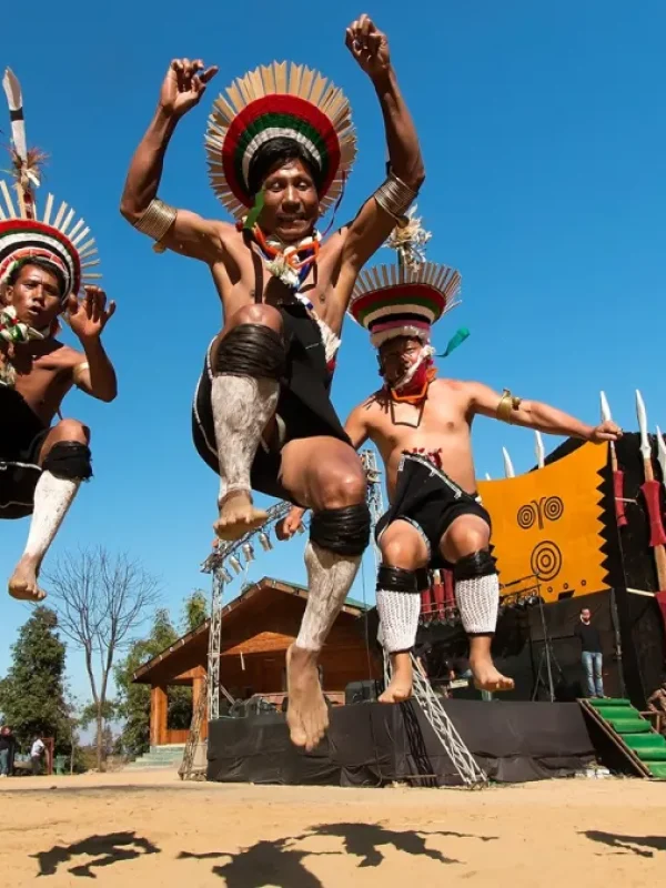 hornbill-festival-bg